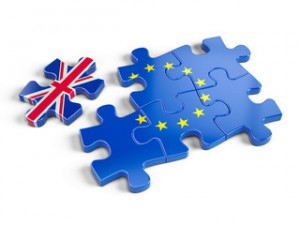 brexjig
